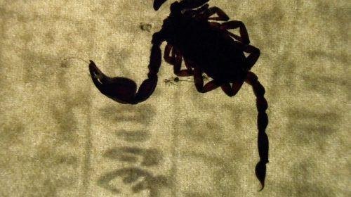 Lettere ai morti nell'Egitto antico - 1