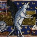Lo sterminio dei gatti nel Medioevo: storia di una bufala grossolana