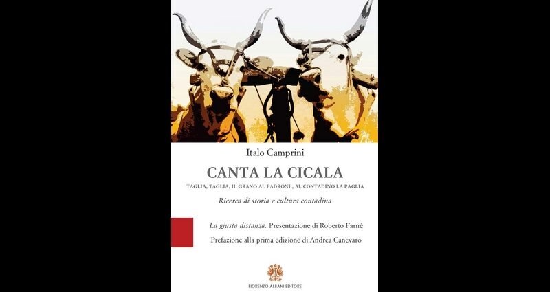 Italo Camprini - Canta la cicala